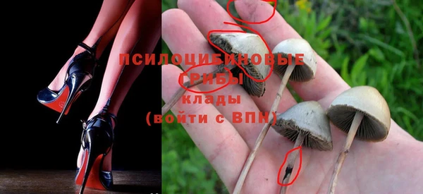 бошки Беломорск
