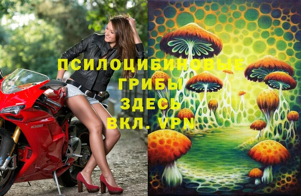 бошки Беломорск