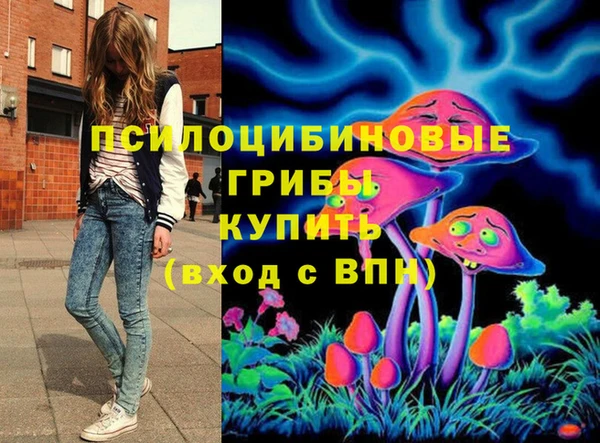 не бодяженный Белокуриха