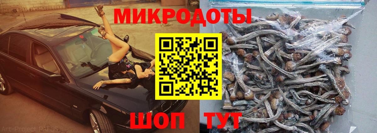 Псилоцибиновые грибы ЛСД  Вход с VPN  Галлюциногенные грибы ЛСД  цена наркотик  Верхний Уфалей 